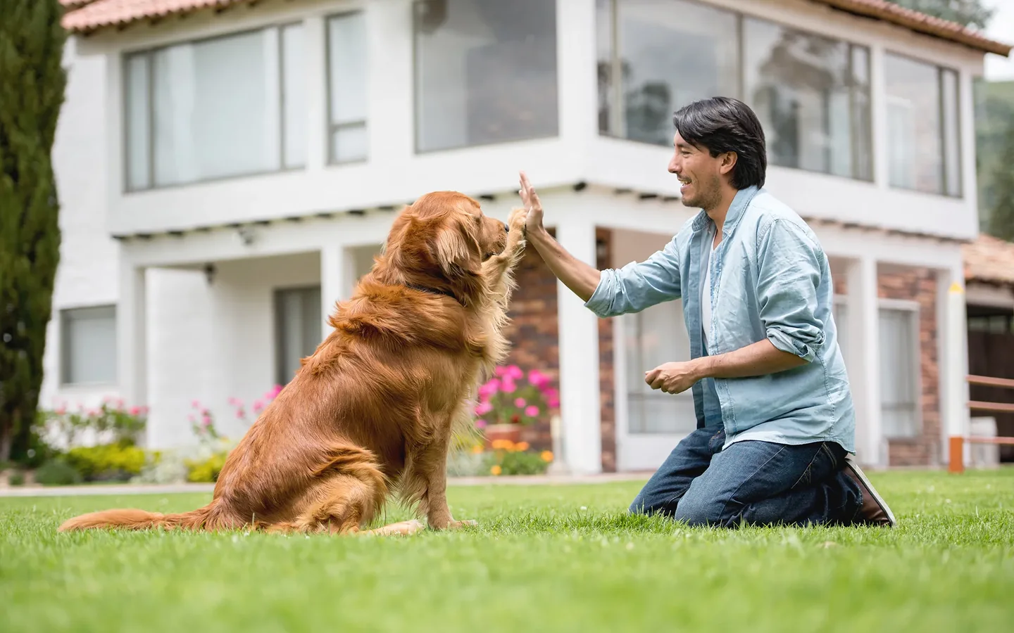 Köpek Eğitimi hizmeti